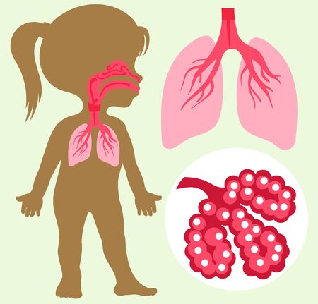 Klinische Erscheinungsbilder hormoneller Hautalterung