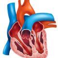 Oxidativer Stress und seine Auswirkungen auf den Alterungsprozess: Moderne Therapieansätze