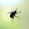 Bewegung als Schlüssel zur Langlebigkeit: Wie körperliche Aktivität den Alterungsprozess beeinflusst