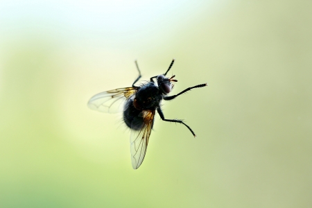 Bewegung als Schlüssel zur Langlebigkeit: Wie körperliche Aktivität den Alterungsprozess beeinflusst